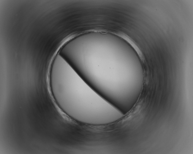 X0000088230861200705151047