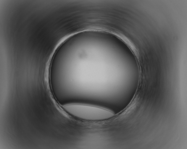 X0000088230862200705151047