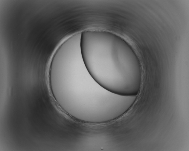 X0000088230864200705151047