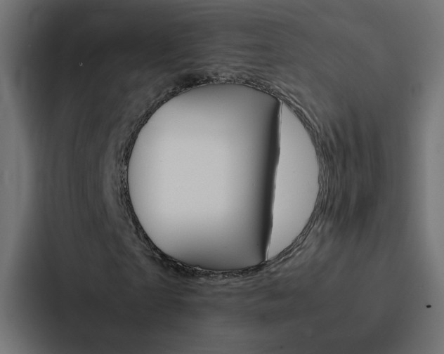 X0000088230865200705151047