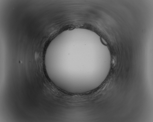 X0000088230867200705151047