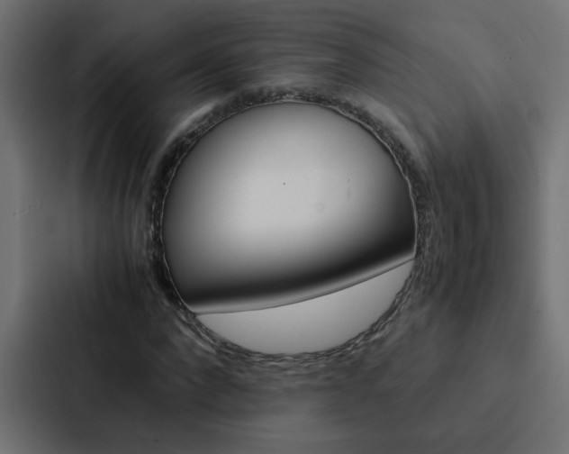 X0000088230872200705151047