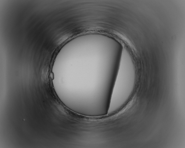 X0000088230873200705151047