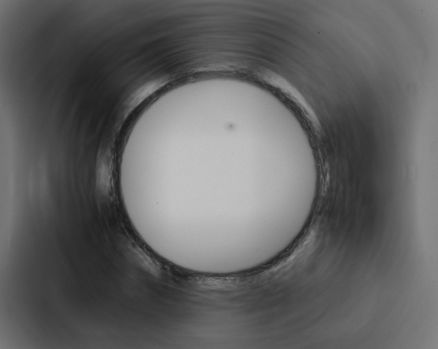 X0000088230874200705151047