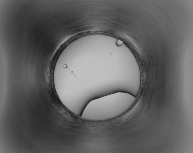 X0000088230875200705151047