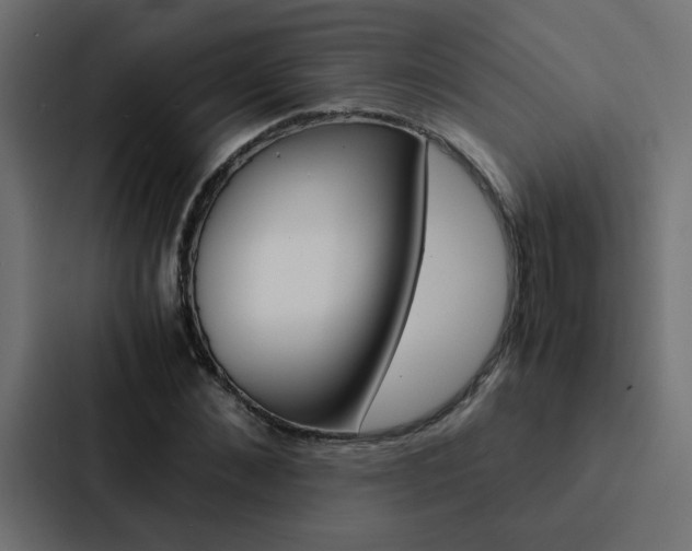X0000088230876200705151047