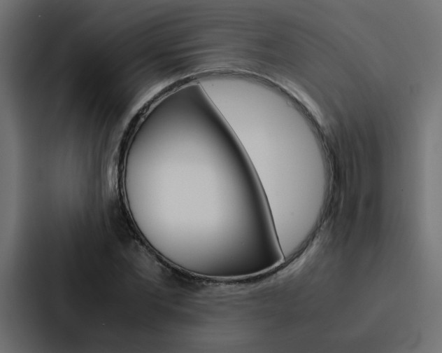 X0000088230877200705151047