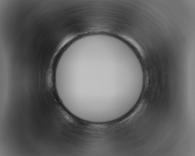 X0000088230878200705151047