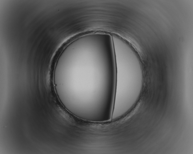 X0000088230880200705151047