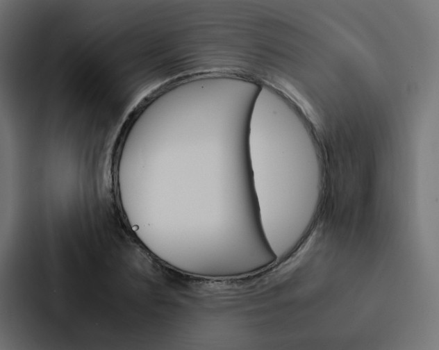 X0000088230883200705151047
