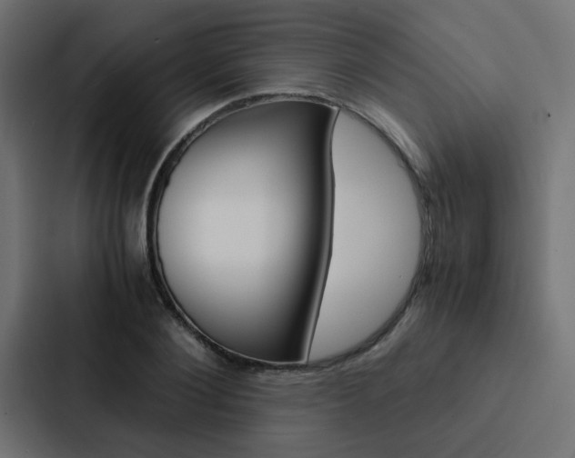 X0000088230884200705151047