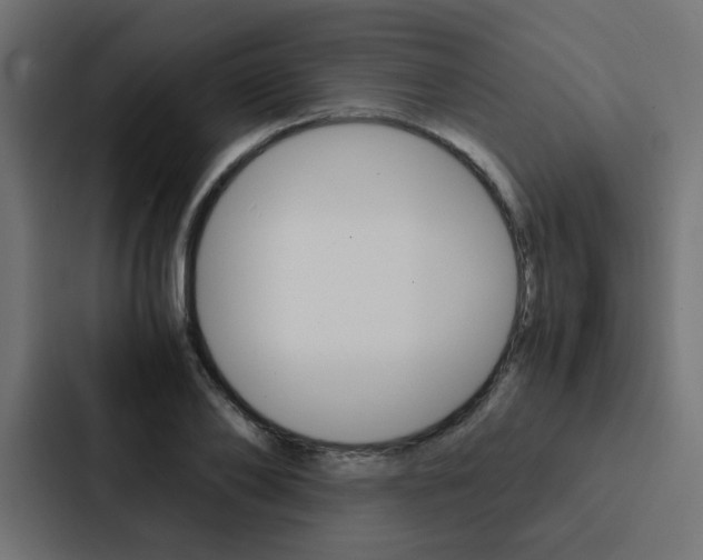 X0000088230886200705151047