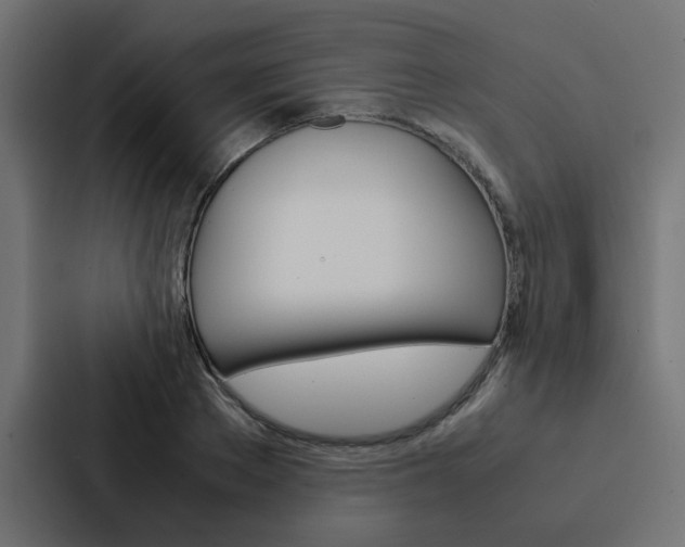 X0000088230889200705151046