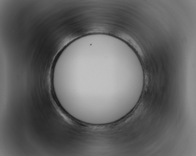 X0000088230890200705151046