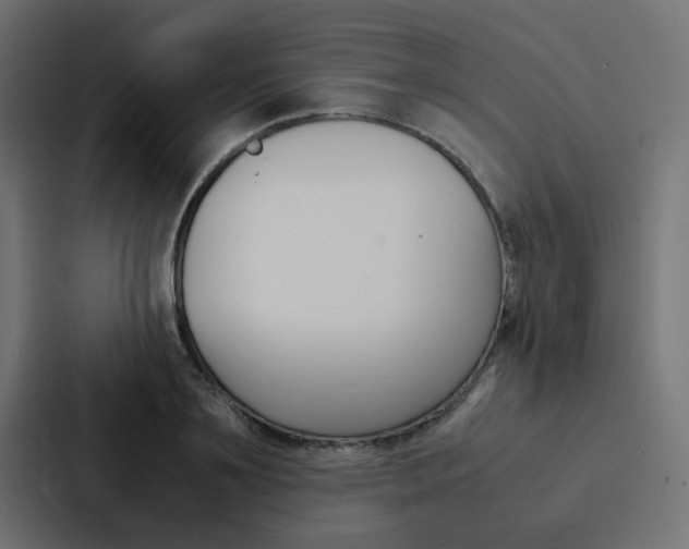 X0000088230891200705151046