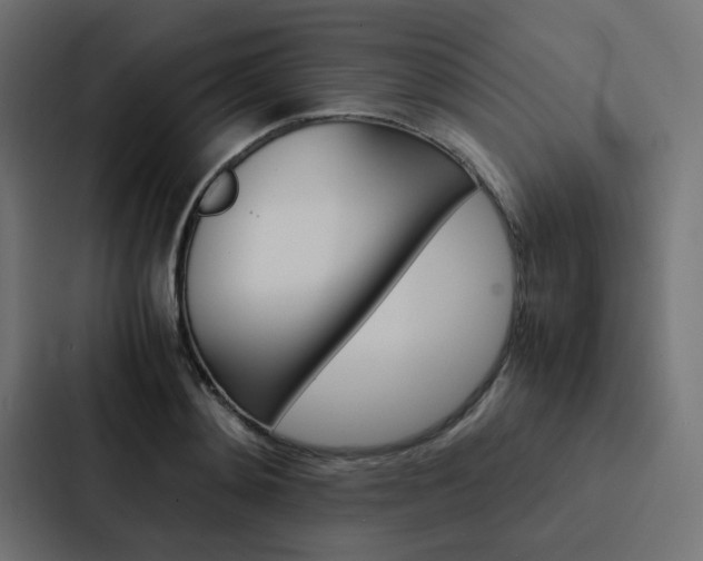 X0000088230892200705151046