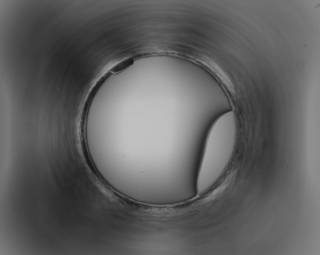 X0000088230893200705151046