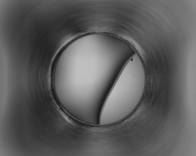 X0000088230894200705151046