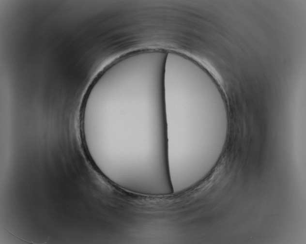 X0000088230895200705151046