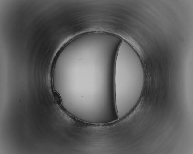 X0000088230896200705151046