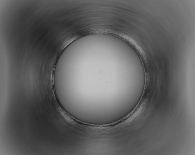 X0000088230897200705151046