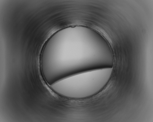 X0000088230898200705151046