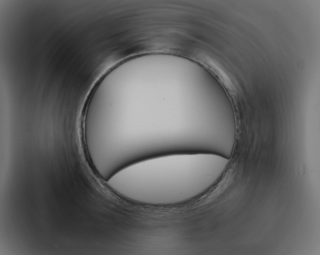 X0000088230899200705151046