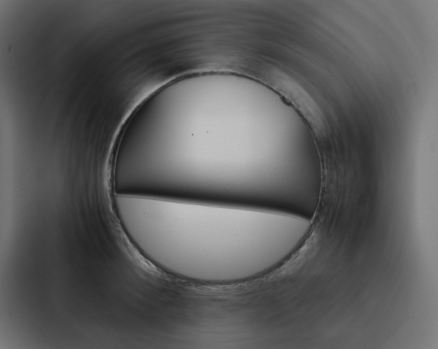 X0000088230900200705151046