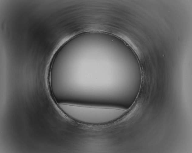 X0000088230901200705151046
