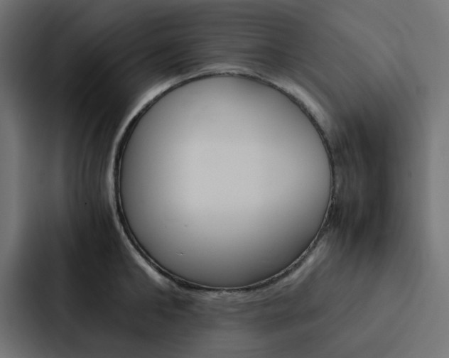 X0000088230902200705151046