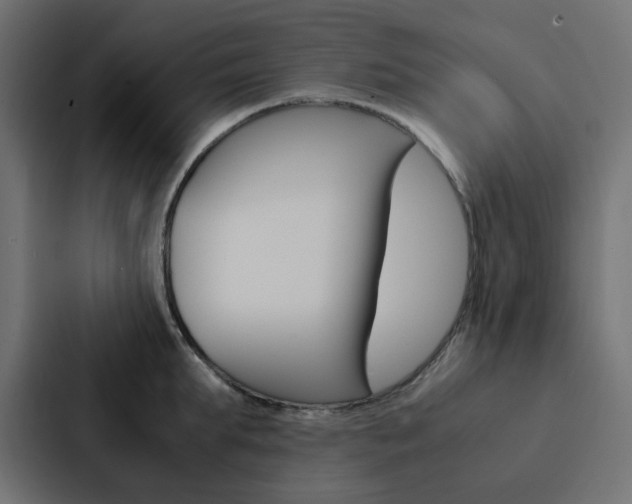 X0000088230903200705151046