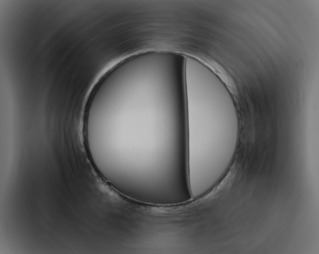 X0000088230904200705151046
