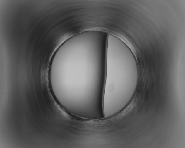 X0000088230906200705151046