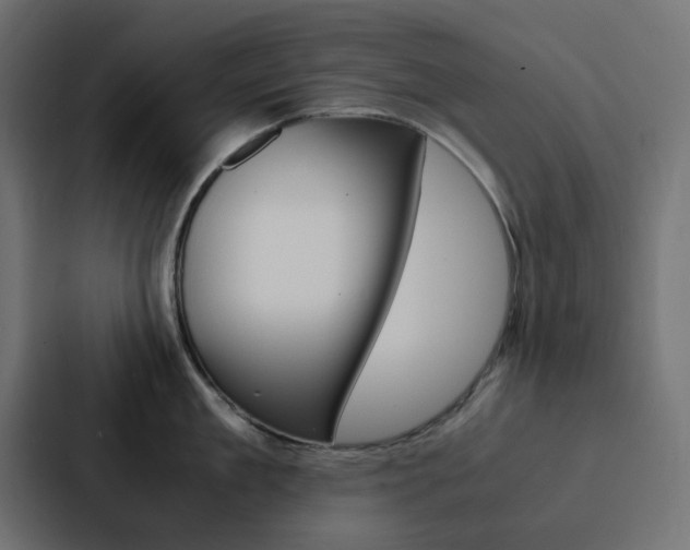 X0000088230909200705151046