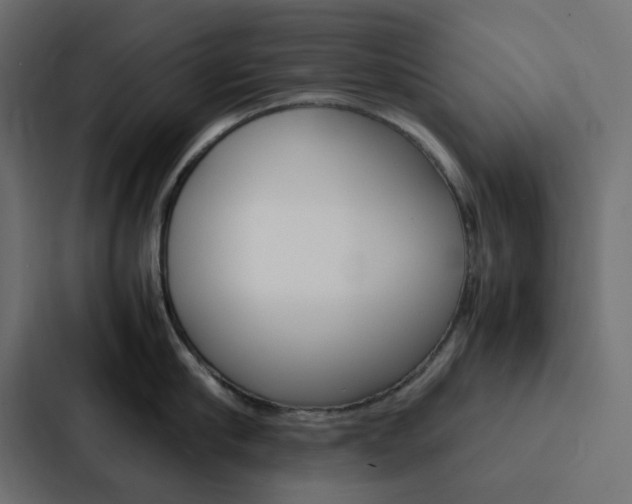 X0000088230910200705151046