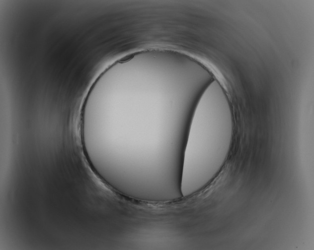 X0000088230911200705151046