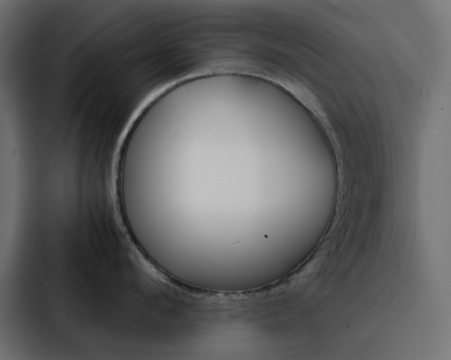 X0000088230912200705151046