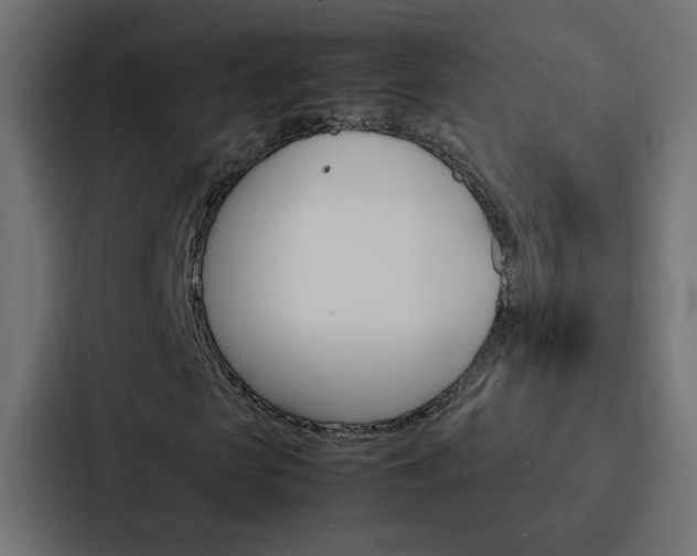 X0000088230913200705151046