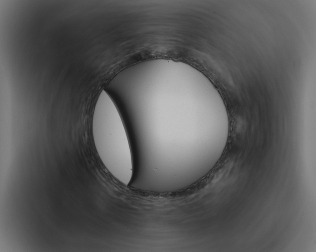 X0000088230914200705151046