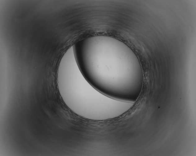 X0000088230916200705151046