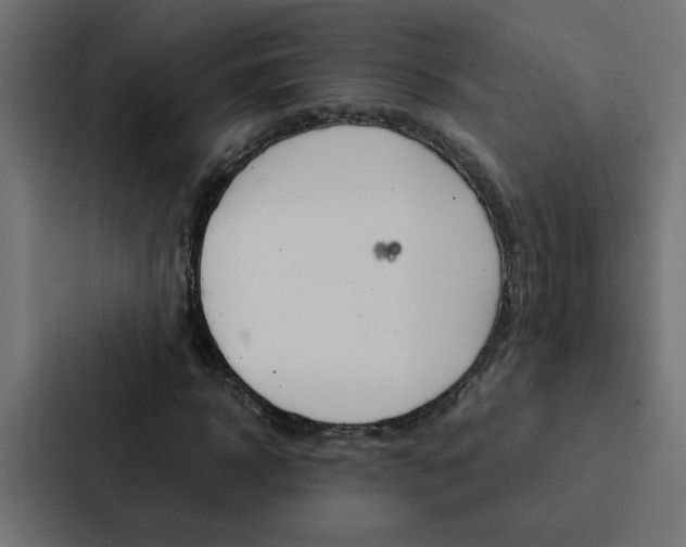 X0000088230918200705151046