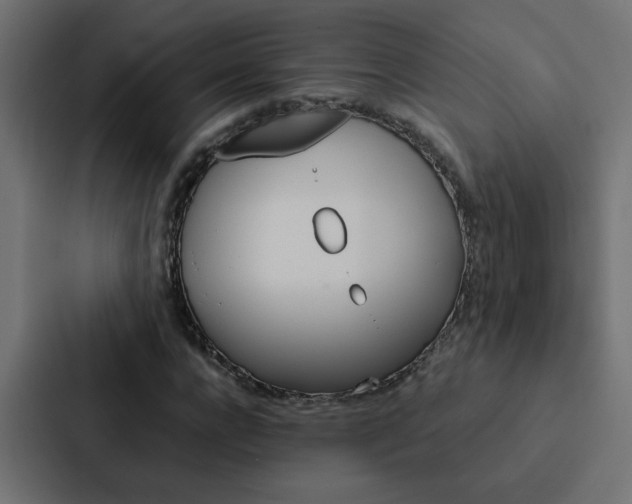 X0000088230920200705151046