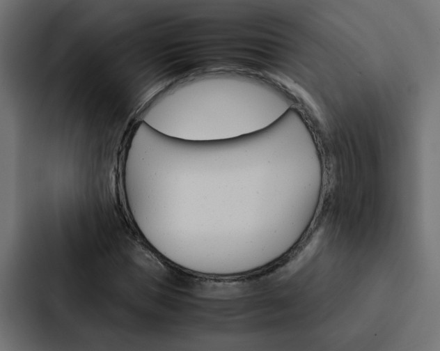 X0000088230921200705151046