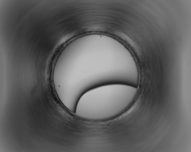 X0000088230922200705151046