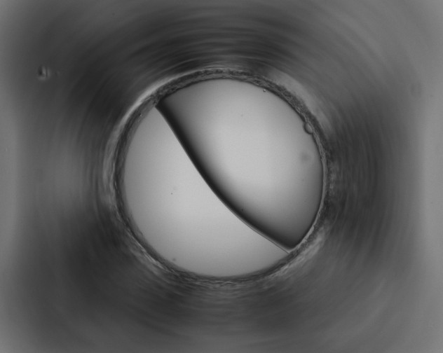X0000088230923200705151046