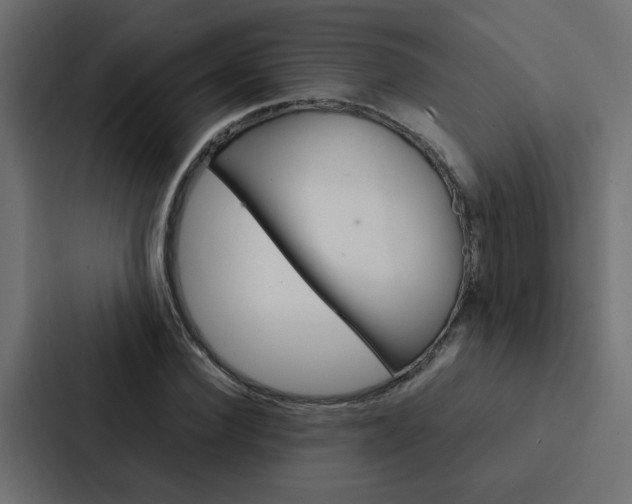 X0000088230924200705151046