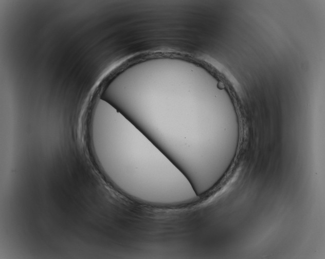 X0000088230925200705151046