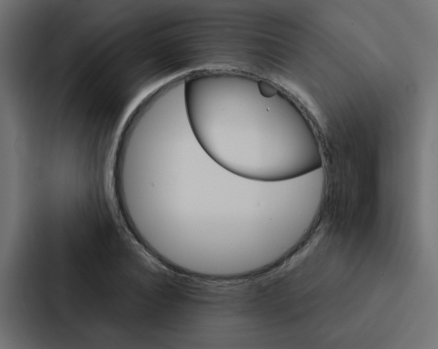X0000088230928200705151046