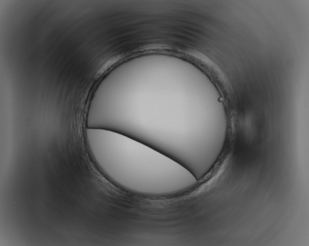X0000088230929200705151046