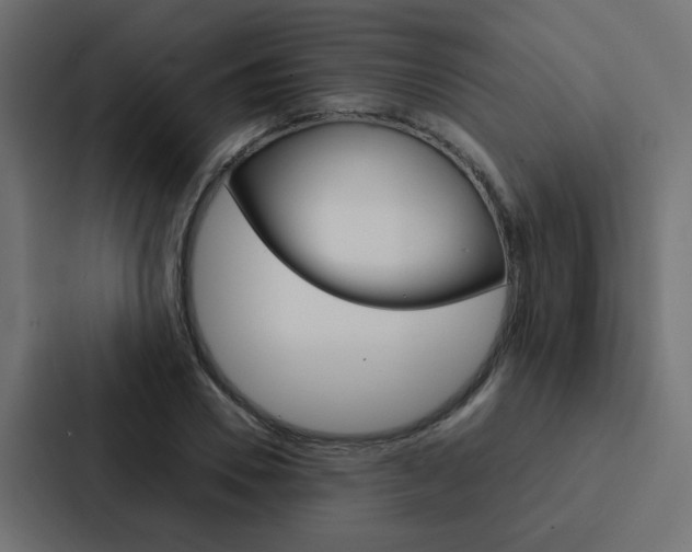 X0000088230930200705151046